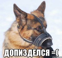  допизделся =(