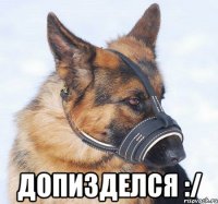  допизделся :/
