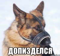  допизделся