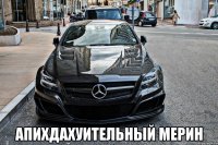  апихдахуительный мерин