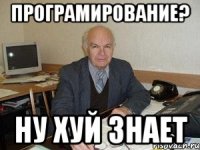 програмирование? ну хуй знает