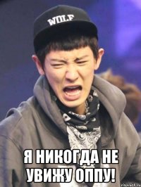  я никогда не увижу оппу!