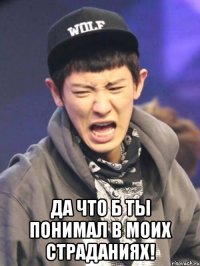  да что б ты понимал в моих страданиях!