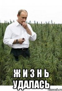  ж и з н ь удалась