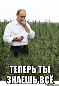  теперь ты знаешь всё