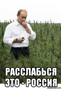  расслабься это - россия