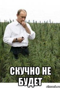  скучно не будет