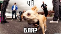 чё бля?