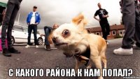  с какого района к нам попал?