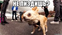 не пиздишь? 