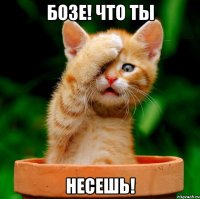 бозе! что ты несешь!