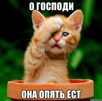 о господи она опять ест