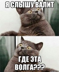 я слышу валит где эта волга???