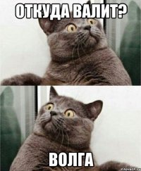 откуда валит? волга