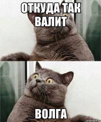 откуда так валит волга