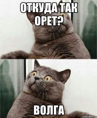 откуда так орет? волга