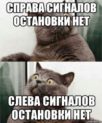 справа сигналов остановки нет слева сигналов остановки нет