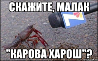скажите, малак "карова харош"?