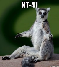 ит-41 