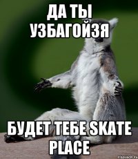 да ты узбагойзя будет тебе skate place