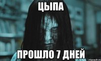 цыпа прошло 7 дней