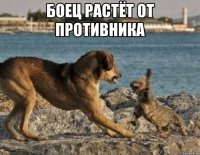 боец растёт от противника 
