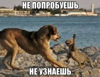 не попробуешь не узнаешь