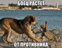 боец растёт от противника