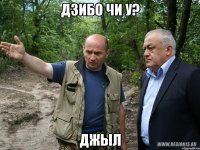 дзибо чи у? джыл