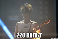  220 вольт