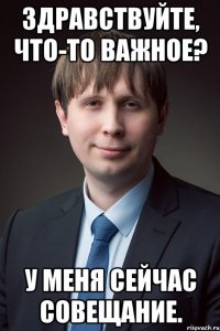 здравствуйте, что-то важное? у меня сейчас совещание.