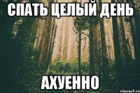 спать целый день ахуенно