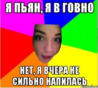 я пьян, я в говно нет, я вчера не сильно напилась