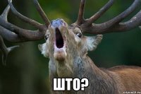  што?