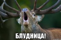  блудница!