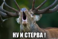  ну и стерва !