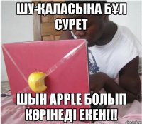 шу-қаласына бұл сурет шын apple болып көрінеді екен!!!