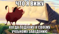 что я вижу когда подхожу к своему учебному заведению