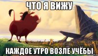 что я вижу каждое утро возле учёбы