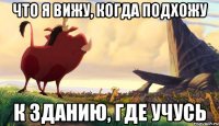 что я вижу, когда подхожу к зданию, где учусь
