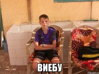  виебу