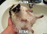 лыжи летаю