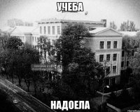 учеба надоела