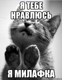 я тебе нравлюсь я милафка