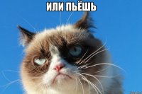 или пьёшь 