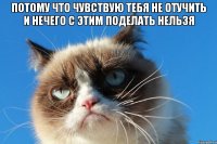 потому что чувствую тебя не отучить и нечего с этим поделать нельзя 