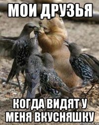 мои друзья когда видят у меня вкусняшку