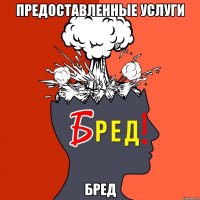 предоставленные услуги бред