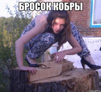 бросок кобры 