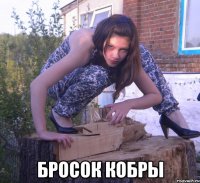  бросок кобры